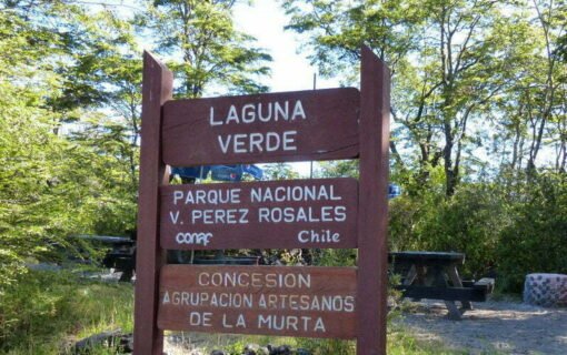 Tour N°1 Laguna verde- Saltos de Petrohue-Lago Todos los Santos